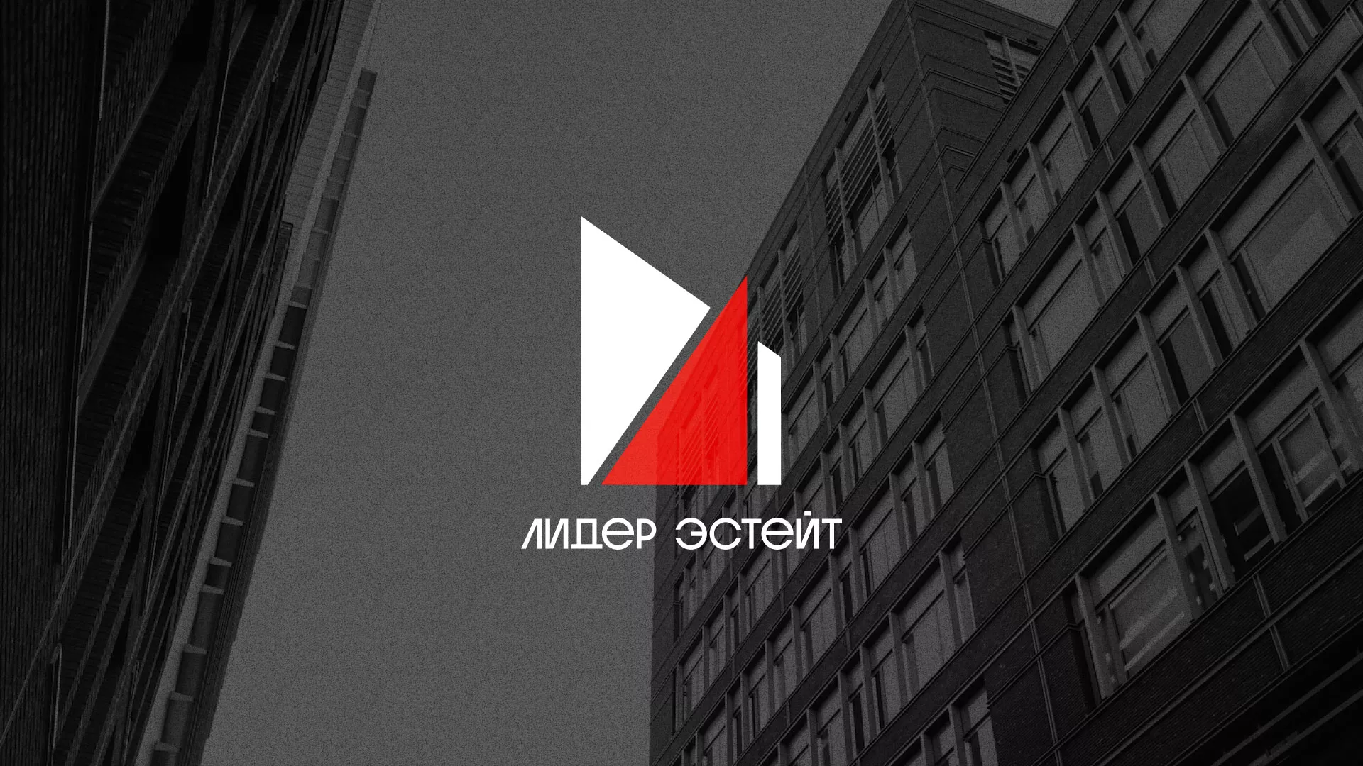 Сделали логотип для агентства недвижимости «Лидер Эстейт» в Кумертау